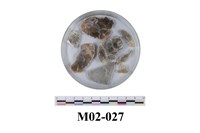 藏品(白雲母)的圖片